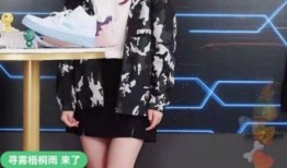 达鲁伊爆料直播间视频,独家爆料背后的故事